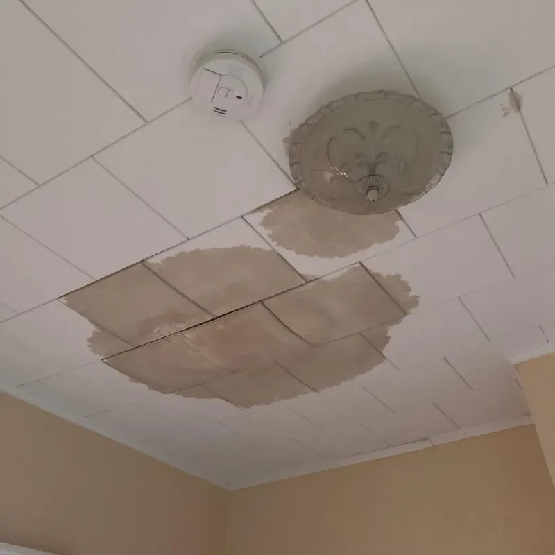Ceiling Water Damage Repair in Pope County, MN