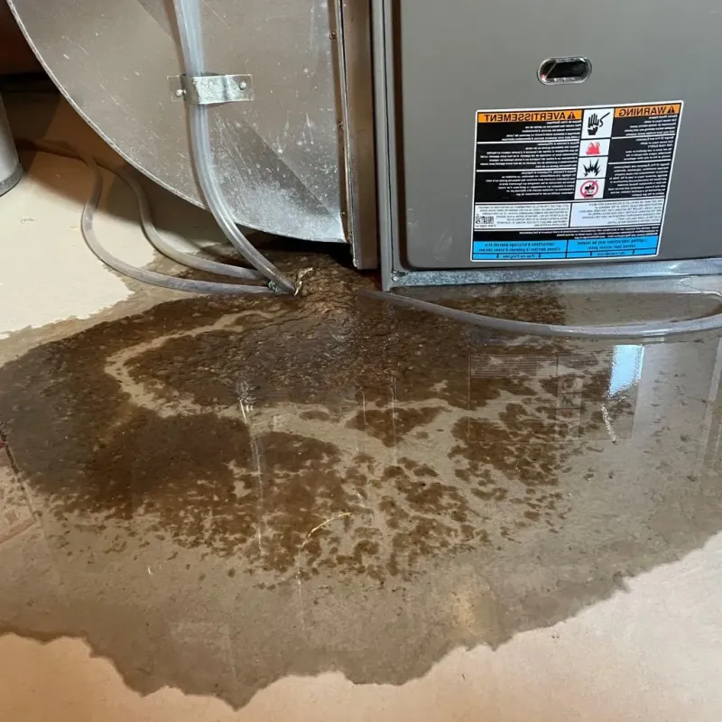 Pipe Burst and Leak Restoration in Pope County, MN