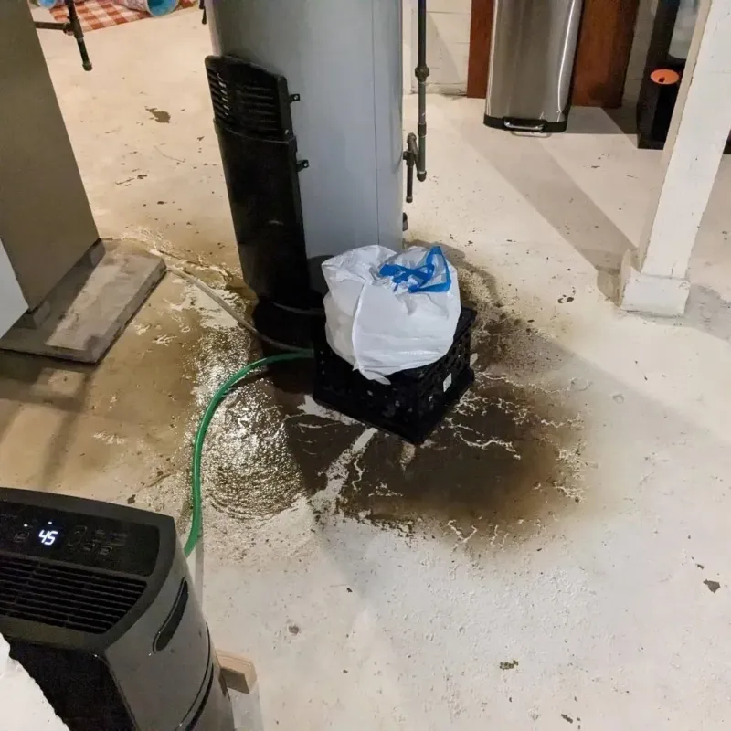 Sewage Backup Cleanup Service in Pope County, MN